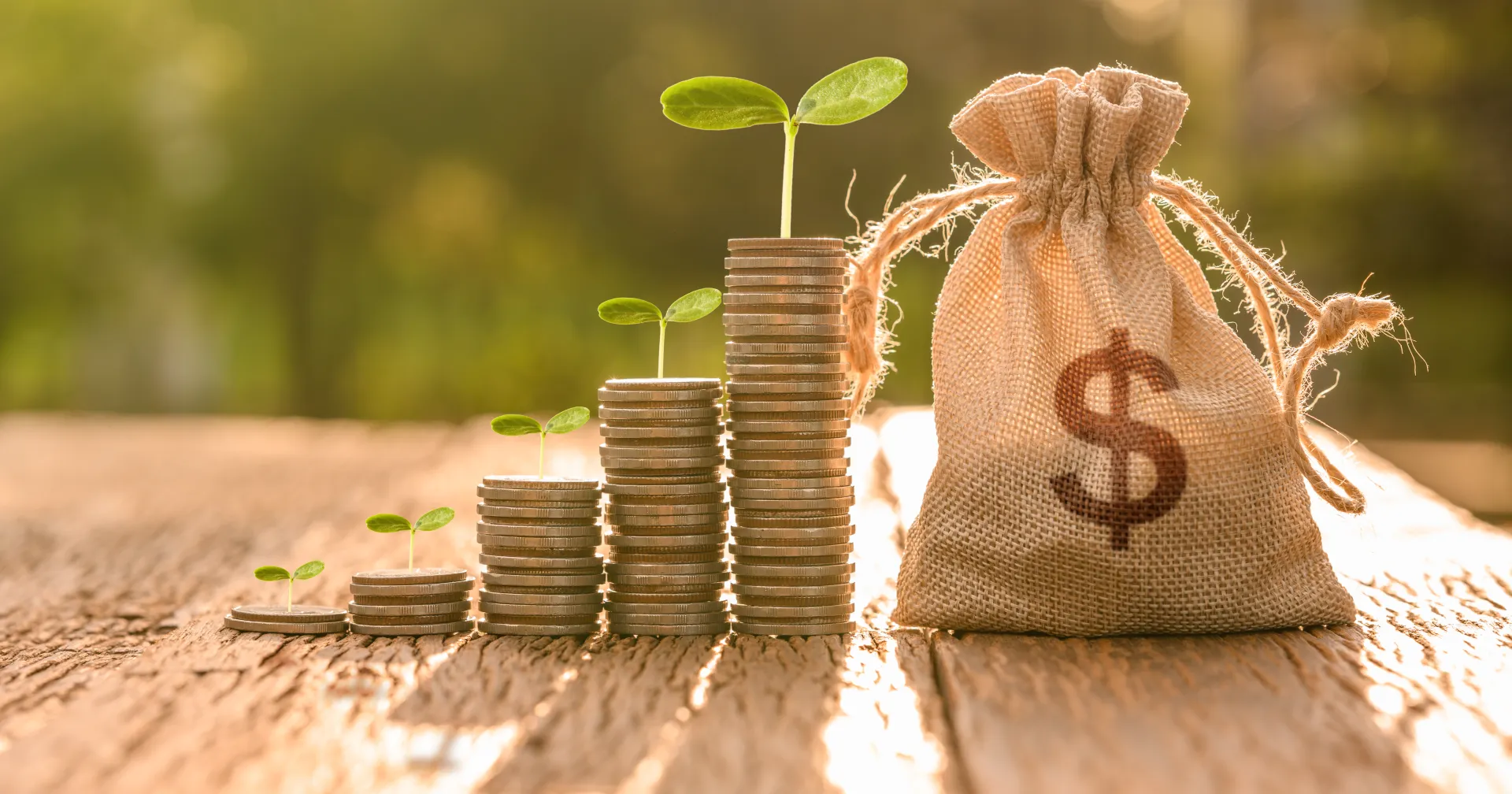Plantje die bij geld groeit